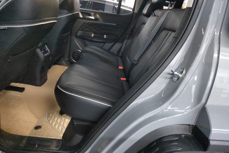 Used Tank 300 2023 City Edition 2.0T My Vision Model Left Rear Seat