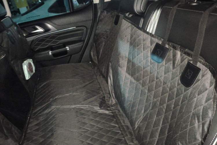 Used Tank 300 2023 2.0T Iron Rider 02 Left Rear Seat