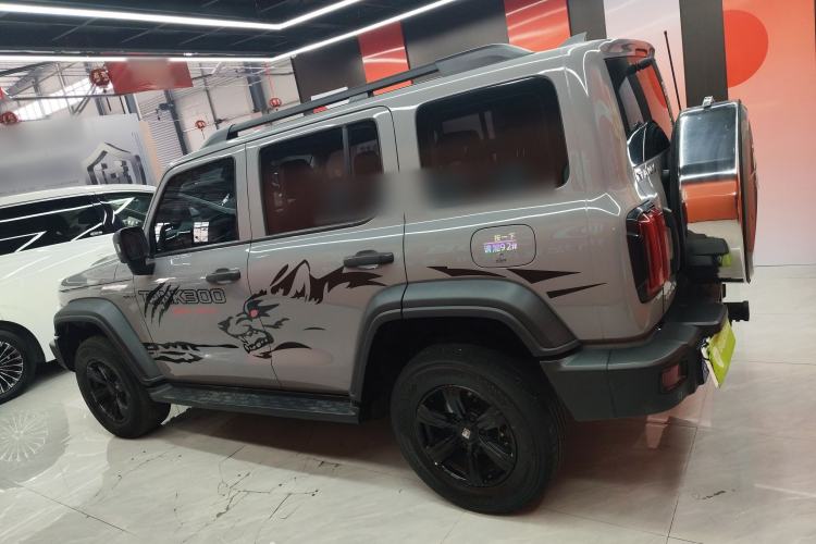 Used Tank 300 2023 Off-Road Edition 2.0T Conqueror Left Side