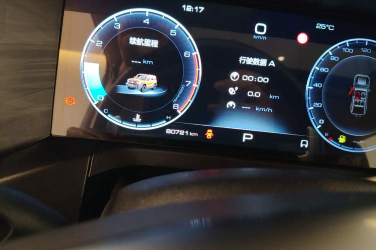 Used Tank 300 2023 Off-Road Edition 2.0T Challenger Odometer Close Up