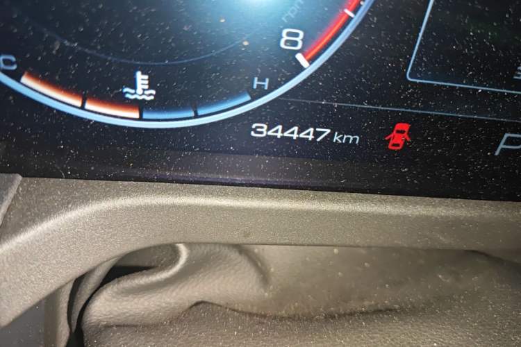 Used Tank 300 2023 Off-Road Edition 2.0T Conqueror Odometer Close Up