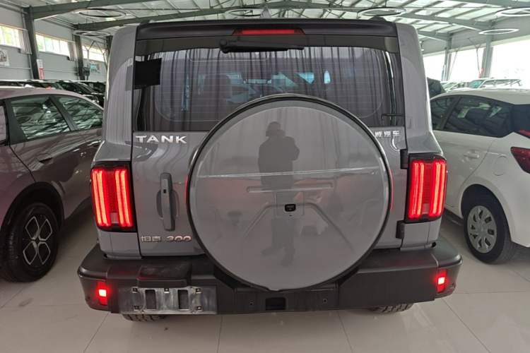 Used Tank 300 2023 City Edition 2.0T My Vision Model Rear