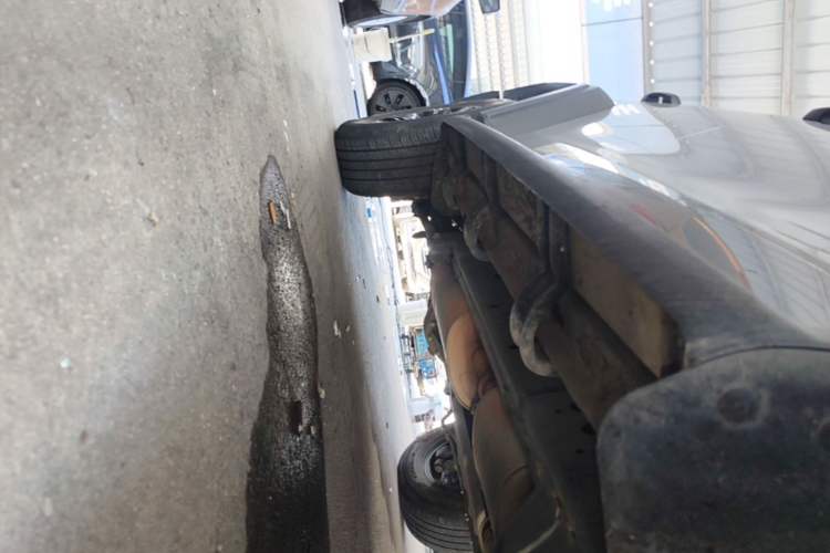 Used Tank 300 2023 Off-Road Edition 2.0T Challenger Right Side Sill