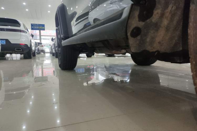 Used Tank 300 2023 Off-Road Edition 2.0T Conqueror Right Side Sill