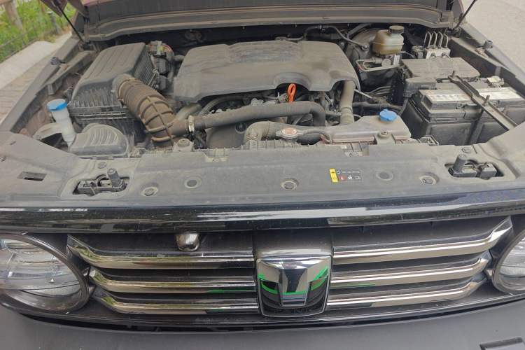 Used Tank 300 2023 City Edition 2.0T—Stylish as Ever Engine Bay