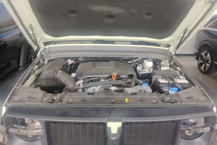 Used Tank 300 2023 2.0T Iron Rider 02 Engine Bay