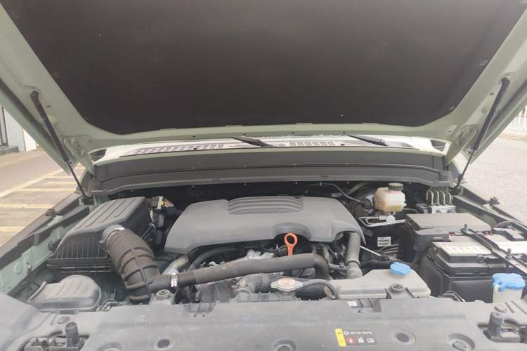 Used Tank 300 2023 2.0T Iron Rider 02 Engine Bay