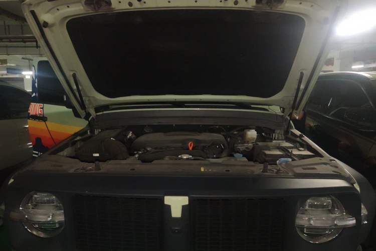 Used Tank 300 2023 2.0T Iron Rider 02 Engine Bay