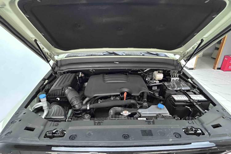 Used Tank 300 2023 City Edition 2.0T—Stylish as Ever Engine Bay