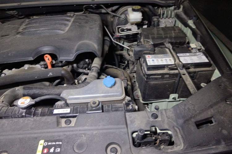 Used Tank 300 2023 City Edition 2.0T—Stylish as Ever Engine Bay Left