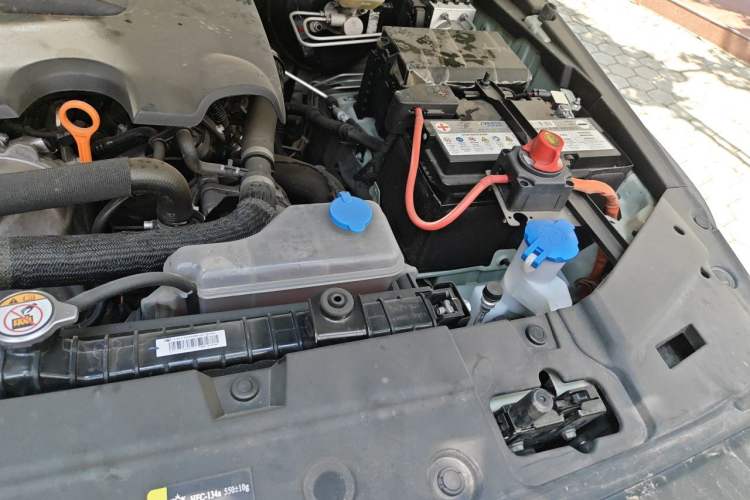 Used Tank 300 2023 2.0T Iron Rider 02 Engine Bay Left