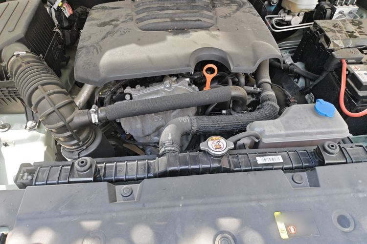Used Tank 300 2023 2.0T Iron Rider 02 Engine Bay