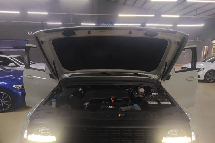 Used Tank 300 2023 City Edition 2.0T—Stylish as Ever Engine Bay