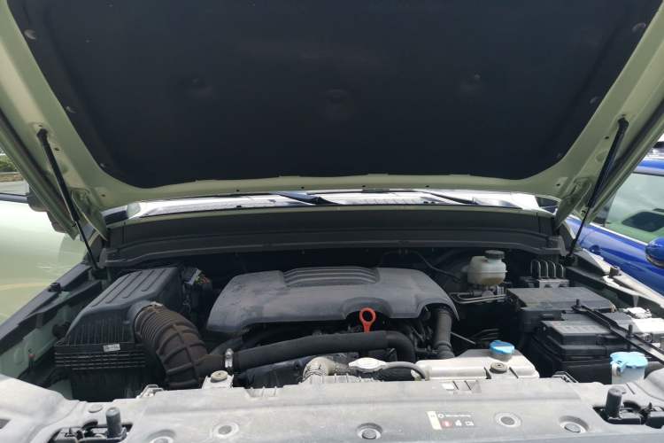 Used Tank 300 2023 2.0T Iron Rider 02 Engine Bay