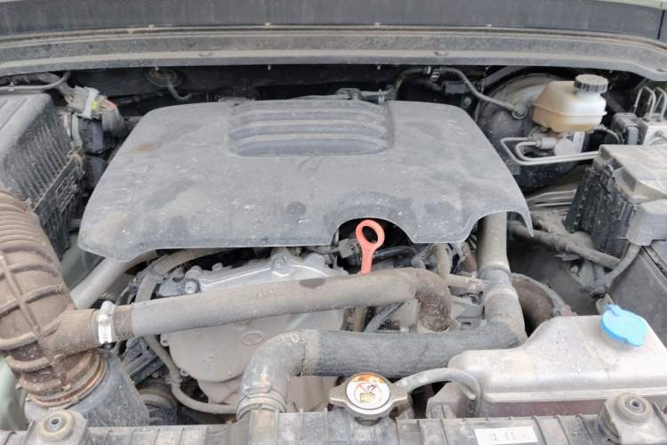 Used Tank 300 2023 2.0T Iron Rider 02 Engine Bay