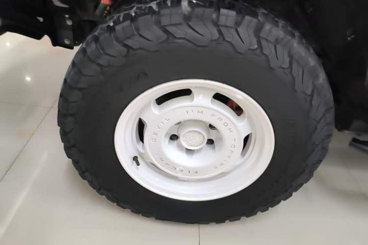 Used Tank 300 2023 2.0T Iron Rider 02 Exterior 4