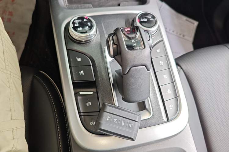 Used Tank 300 2023 City Edition 2.0T—Stylish as Ever Gear Lever