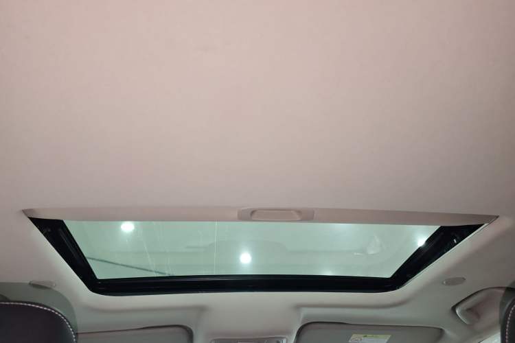 Used Tank 300 2023 City Edition 2.0T—Stylish as Ever Headliner