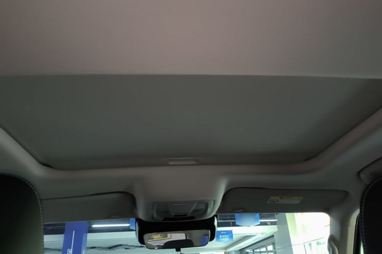 Used Tank 300 2023 2.0T Iron Rider 02 Headliner