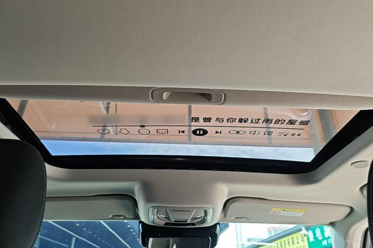 Used Tank 300 2023 City Edition 2.0T—Stylish as Ever Headliner