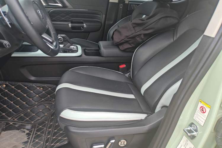 Used Tank 300 2023 City Edition 2.0T—Stylish as Ever Left Front Seat
