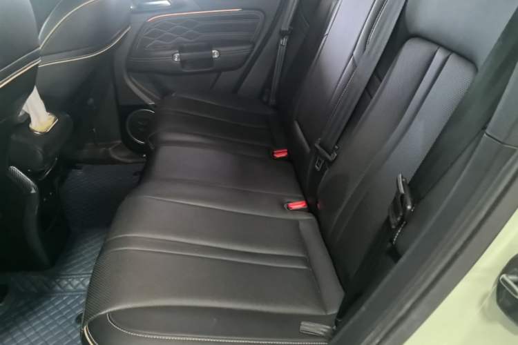 Used Tank 300 2023 City Edition 2.0T—Stylish as Ever Left Rear Seat