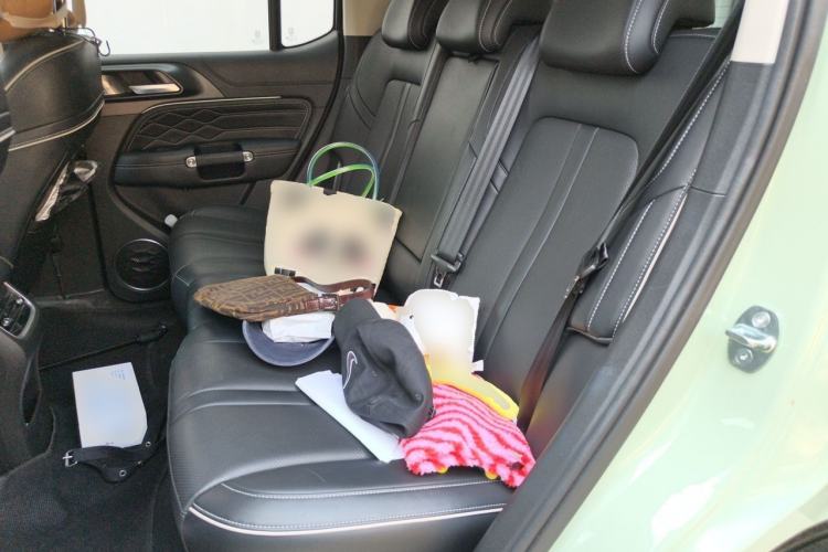 Used Tank 300 2023 City Edition 2.0T—Stylish as Ever Left Rear Seat