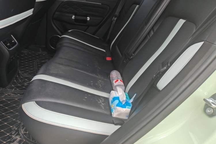 Used Tank 300 2023 City Edition 2.0T—Stylish as Ever Left Rear Seat