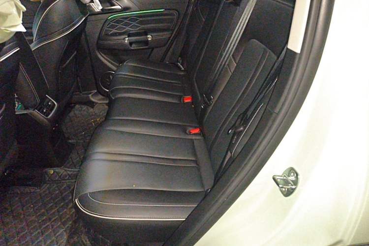 Used Tank 300 2023 2.0T Iron Rider 02 Left Rear Seat