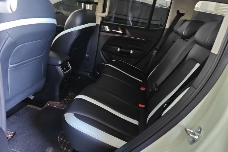 Used Tank 300 2023 City Edition 2.0T—Stylish as Ever Left Rear Seat
