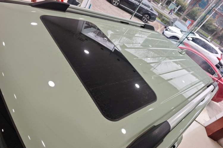 Used Tank 300 2023 City Edition 2.0T—Stylish as Ever Roof