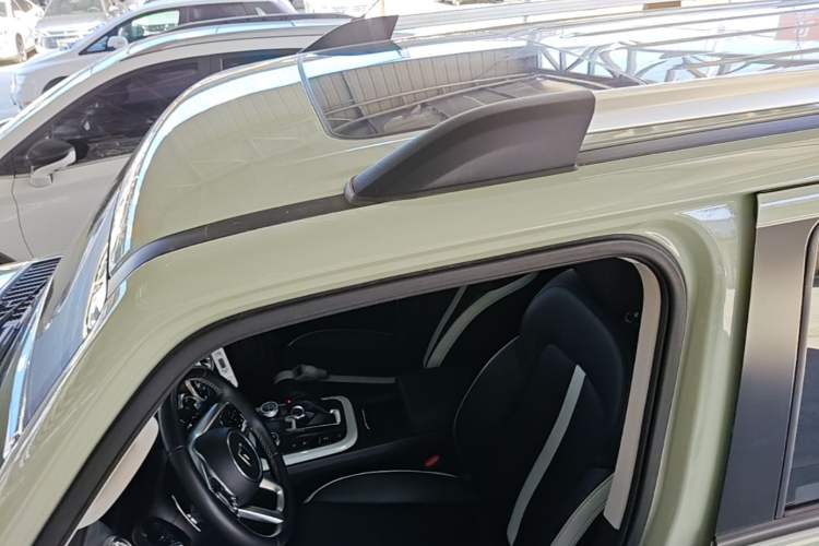 Used Tank 300 2023 City Edition 2.0T—Stylish as Ever Roof