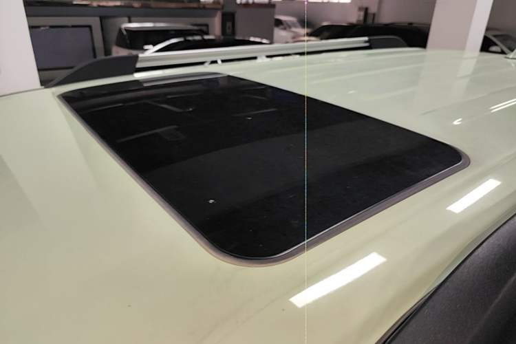 Used Tank 300 2023 City Edition 2.0T—Stylish as Ever Roof