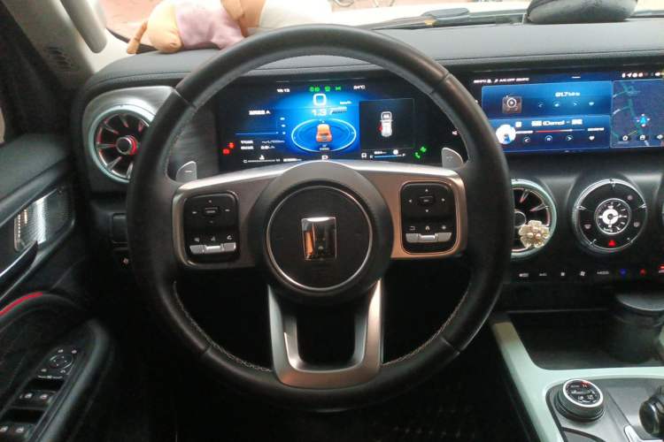 Used Tank 300 2023 City Edition 2.0T—Stylish as Ever Steering Wheel