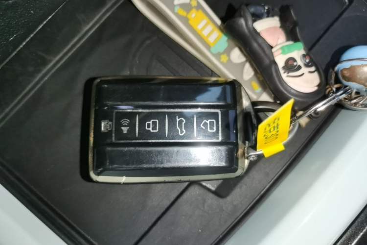 Used Tank 300 2023 City Edition 2.0T—Stylish as Ever Vehicle Key