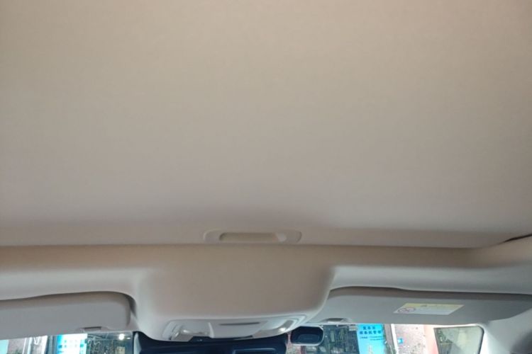 Used Tank 300 2023 City Edition 2.0T—Stylish as Ever Headliner