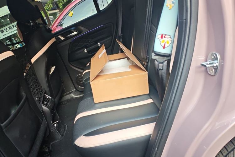 Used Tank 300 2023 City Edition 2.0T—Stylish as Ever Left Rear Seat