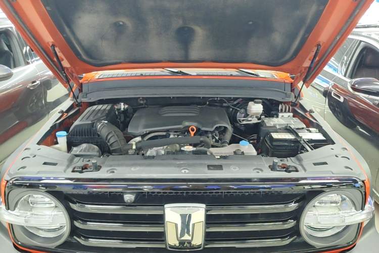 Used Tank 300 2023 Off-Road Edition 2.0T Conqueror Engine Bay