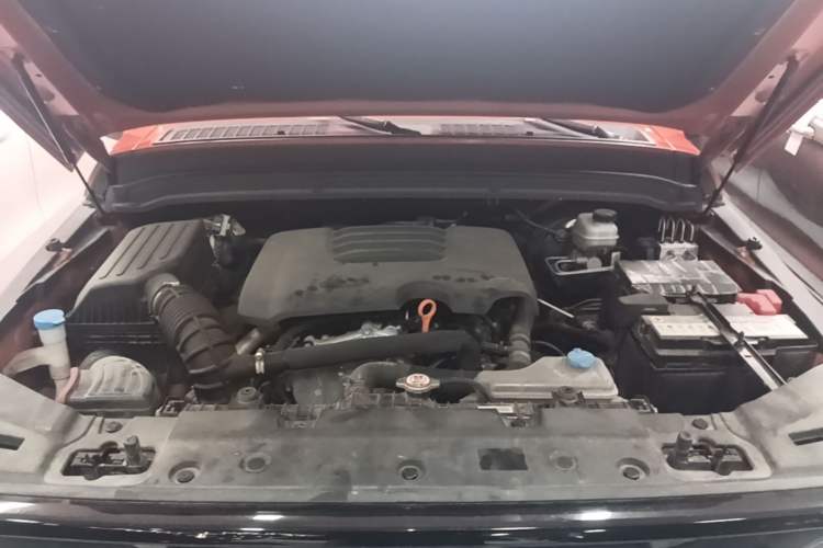 Used Tank 300 2023 Off-Road Edition 2.0T Conqueror Engine Bay