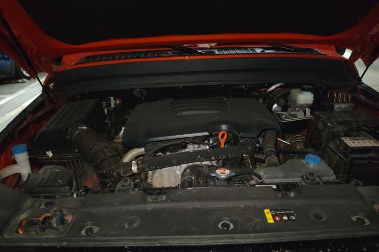 Used Tank 300 2023 Off-Road Edition 2.0T Conqueror Engine Bay
