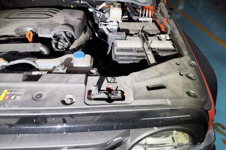 Used Tank 300 2023 Off-Road Edition 2.0T Conqueror Engine Bay Left