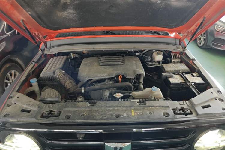 Used Tank 300 2023 Off-Road Edition 2.0T Conqueror Engine Bay