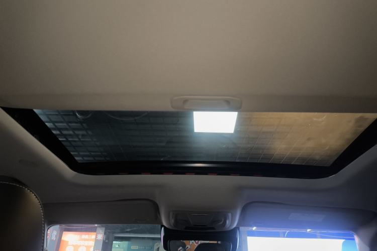 Used Tank 300 2023 2.0T 200 000-Vehicle Commemorative Edition Headliner