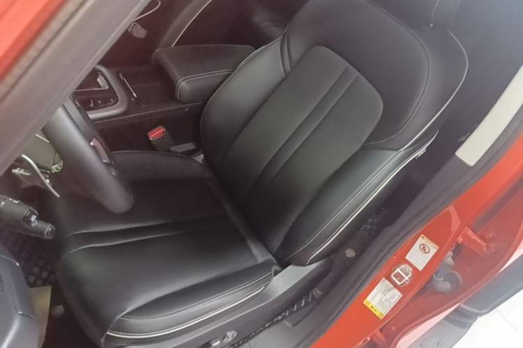 Used Tank 300 2023 Off-Road Edition 2.0T Conqueror Left Front Seat