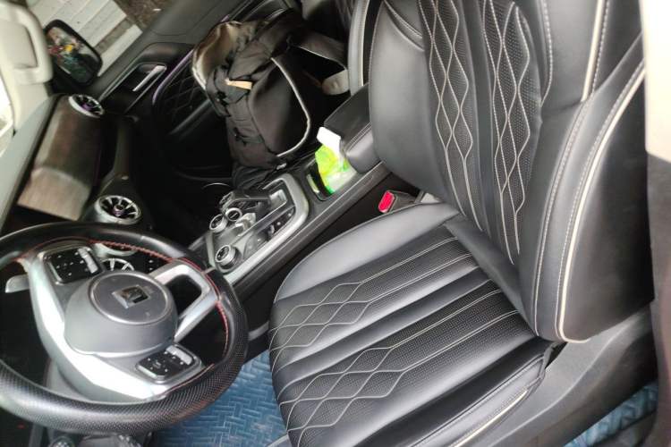 Used Tank 300 2023 Off-Road Edition 2.0T Challenger Left Front Seat