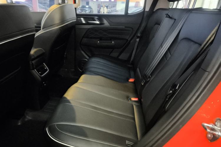 Used Tank 300 2023 2.0T 200 000-Vehicle Commemorative Edition Left Rear Seat
