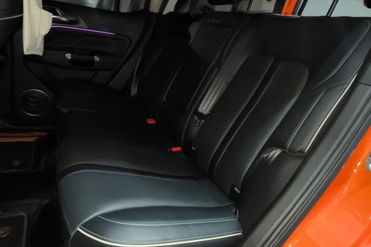 Used Tank 300 2023 Off-Road Edition 2.0T Conqueror Left Rear Seat