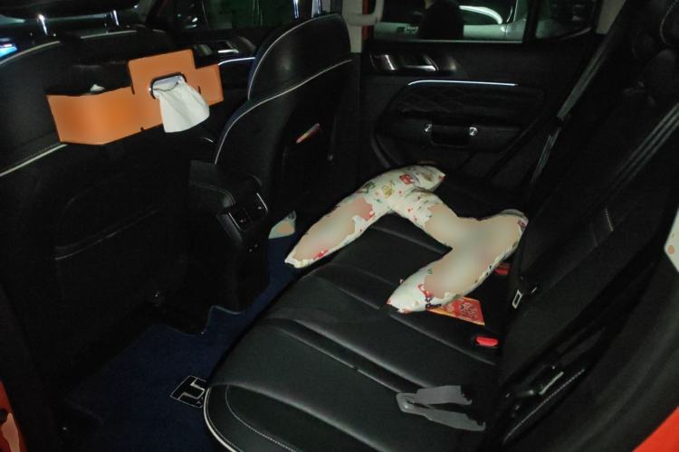 Used Tank 300 2023 City Edition 2.0T—Stylish as Ever Left Rear Seat