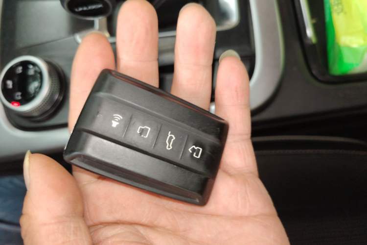 Used Tank 300 2023 Off-Road Edition 2.0T Challenger Vehicle Key