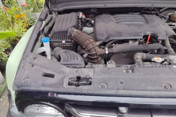 Used Tank 300 2023 City Edition 2.0T—Stylish as Ever Engine Bay Right